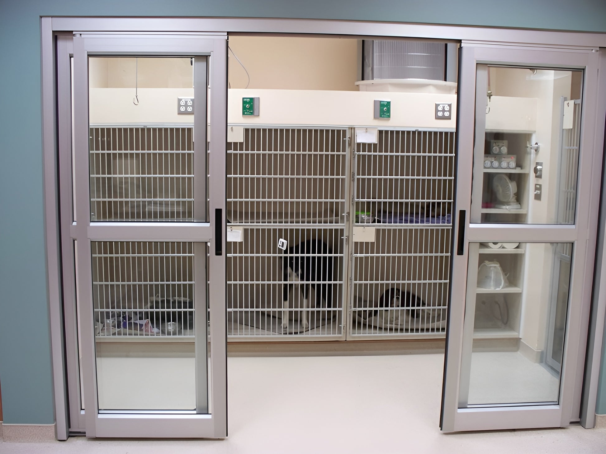 Pet Isolation Ward
